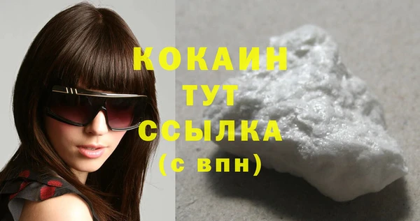 молекула духа Лабытнанги