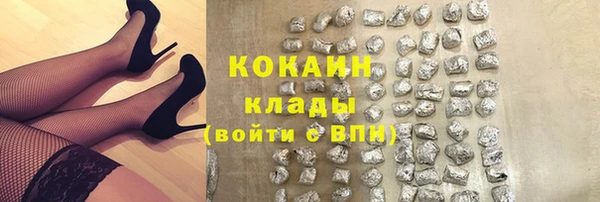 спайс Кулебаки